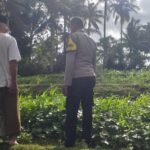 Pemanfaatan Pekarangan untuk Ketahanan Pangan di Dusun Pelan