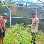 Bhabinkamtibmas Desa Mantun Dampingi Pengelolaan Pekarangan Pangan Bergizi