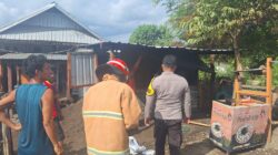 Kios Semi Permanen Terbakar, Polsek Seteluk Turun Tangan Bantu Padamkan Api dan Evakuasi