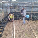 Bhabinkamtibmas Desa Seran Dampingi Warga Kelola Pekarangan Pangan Bergizi