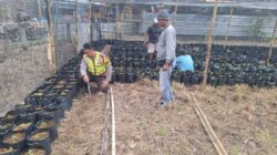 Bhabinkamtibmas Desa Seran Dampingi Warga Kelola Pekarangan Pangan Bergizi
