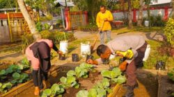 Jaga Ketahanan Pangan, Bhabinkamtibmas Kuripan Gelar Sosialisasi Pemanfaatan Lahan Produktif