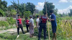 Polres Lombok Barat Dukung Petani Jagung di Dusun Kelebut