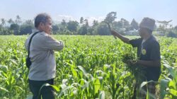 Bhabinkamtibmas Desa Sandik Dorong Warga Perkuat Swasembada Pangan