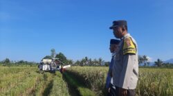 Kunjungan Bhabinkamtibmas Kuripan: Ajak Petani Wujudkan Ketahanan Pangan