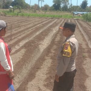 Polsek Rhee Dukung Ketahanan Pangan, Bhabinkamtibmas Ajak Warga Manfaatkan Lahan Kosong