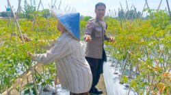 Bhabinkamtibmas Desa Perampuan Dorong Warga Karang Bayan Manfaatkan Lahan Bergizi