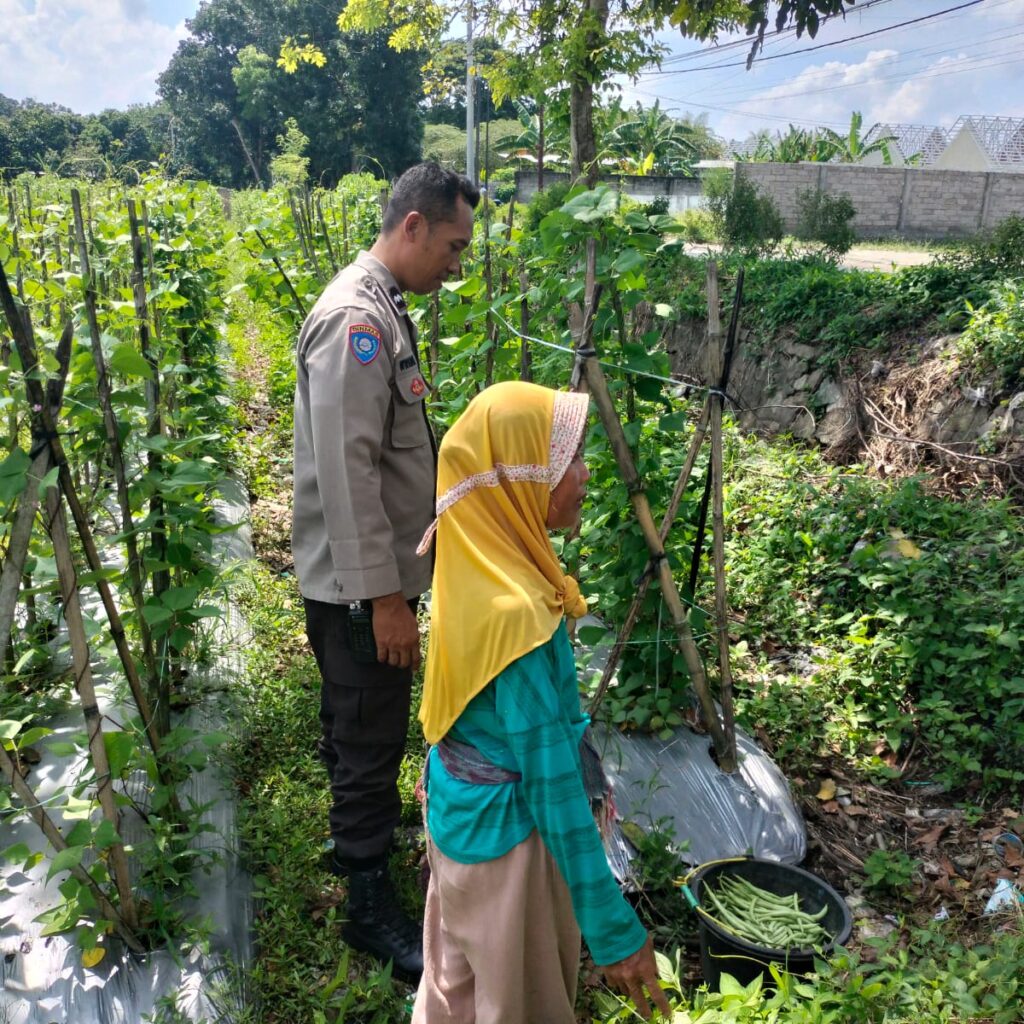 Ketahanan Pangan Diperkuat, Bhabinkamtibmas Desa Labuapi Ajak Warga Produktif
