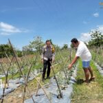 BKTM Rhee Loka Pantau Pemanfaatan Lahan Kosong, Dukung Program Ketahanan Pangan