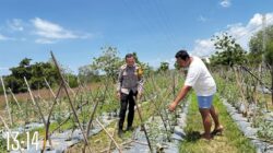BKTM Rhee Loka Pantau Pemanfaatan Lahan Kosong, Dukung Program Ketahanan Pangan