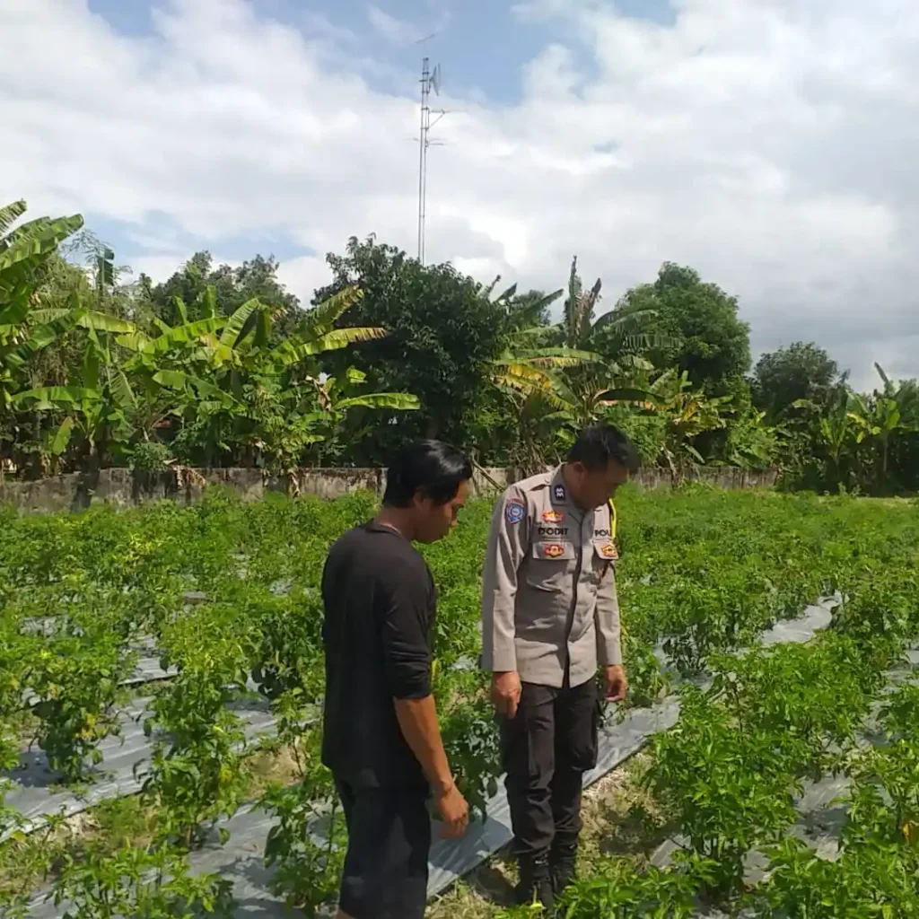 Dorong Kemandirian Pangan Keluarga, Bhabinkamtibmas Dampingi Warga Olah Lahan