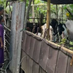 Bhabinkamtibmas Senggigi Ajak Warga Kelola Lahan Kosong Jadi Sumber Pangan