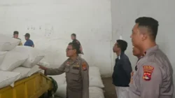 Kualitas Jagung Batulayar Capai Standar BULOG, Polsek Apresiasi Petani