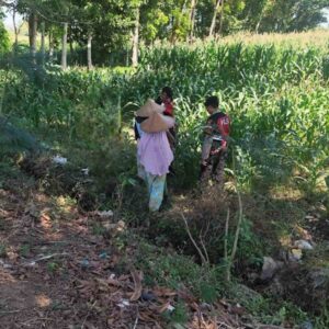 Polres Lombok Barat Turun ke Sawah Dampingi Petani Jagung