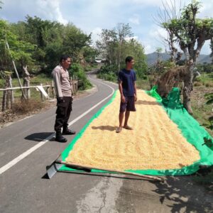 Bhabinkamtibmas Desa Cempi Jaya Dukung Program Ketahanan Pangan Nasional Menuju Indonesia Emas 2025