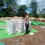 BHABINKAMTIBMAS DESA WOKO PANTAU AKTIVITAS WARGA BINAAN SAAT MENJUAL HASIL PANEN JAGUNG