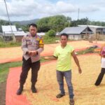 BHABINKAMTIBMAS DESA DORO MELO SAMBANG DAN PANTAU WARGA YANG MENJEMUR HASIL PANEN JAGUNG