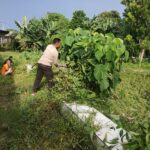 Antisipasi DBD di Musim Hujan, Bhabinkamtibmas Desa Luar dan Warga Dusun Stober Kompak Gotong Royong