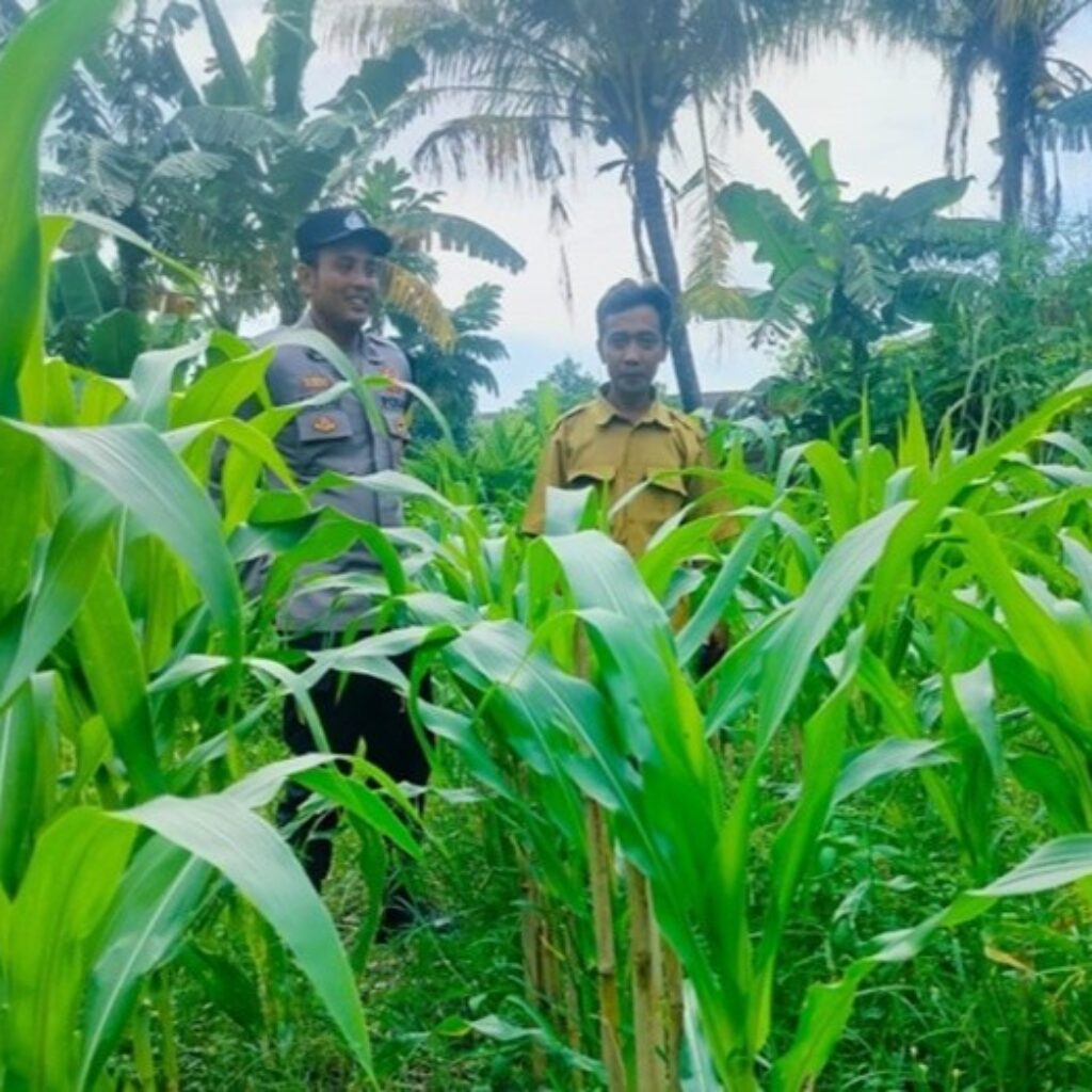Langkah Proaktif Polsek Labuapi Dukung Kemandirian Pangan