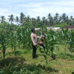 Polsek Sekotong Kawal Ketahanan Pangan di Desa Sekotong Barat