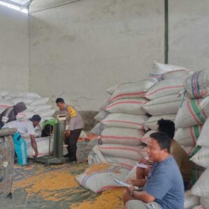 Polsek Gerung Pantau Stok Jagung di Desa Beleka Lombok Barat