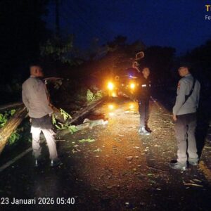 Pastikan Jalur Lintas Tetap Aman, Polsek Labuhan Badas Amankan TKP Pohon Tumbang di Karang Dima