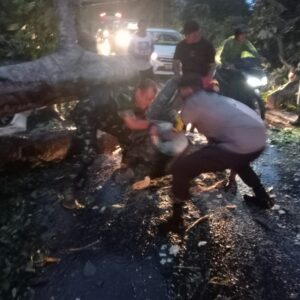 Polsek Asakota Polres Bima Kota Bersama Warga Lakukan Pembersihan Pohon Tumbang di Jalan Lintas Wera – Bima