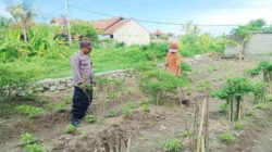 Polri Dampingi Warga Dusun Bantir Budidaya Palawija di Pekarangan