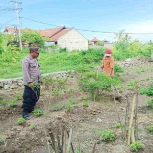 Polri Dampingi Warga Dusun Bantir Budidaya Palawija di Pekarangan